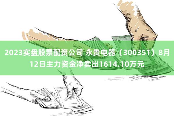 2023实盘股票配资公司 永贵电器（300351）8月12日主力资金净卖出1614.10万元