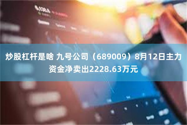 炒股杠杆是啥 九号公司（689009）8月12日主力资金净卖出2228.63万元