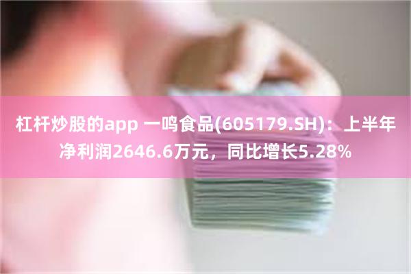 杠杆炒股的app 一鸣食品(605179.SH)：上半年净利润2646.6万元，同比增长5.28%