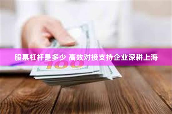 股票杠杆是多少 高效对接支持企业深耕上海