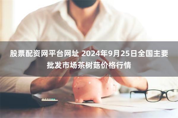 股票配资网平台网址 2024年9月25日全国主要批发市场茶树菇价格行情