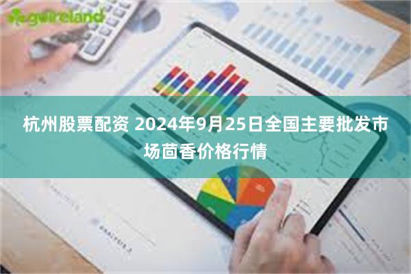 杭州股票配资 2024年9月25日全国主要批发市场茴香价格行情