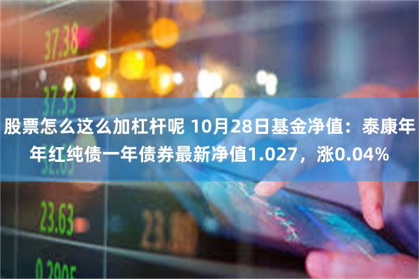 股票怎么这么加杠杆呢 10月28日基金净值：泰康年年红纯债一年债券最新净值1.027，涨0.04%