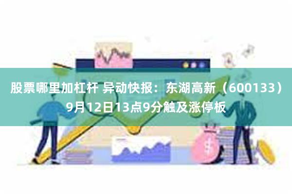 股票哪里加杠杆 异动快报：东湖高新（600133）9月12日13点9分触及涨停板