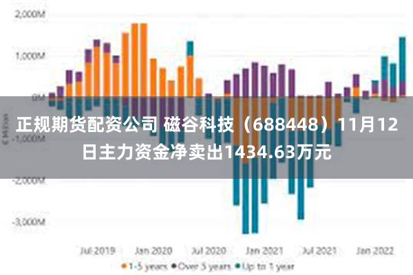 正规期货配资公司 磁谷科技（688448）11月12日主力资金净卖出1434.63万元