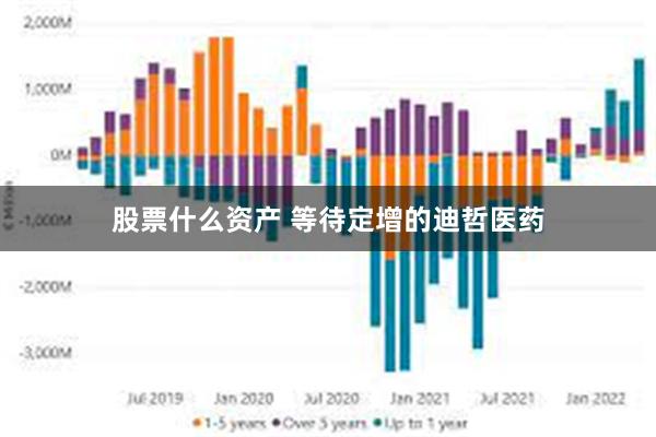 股票什么资产 等待定增的迪哲医药