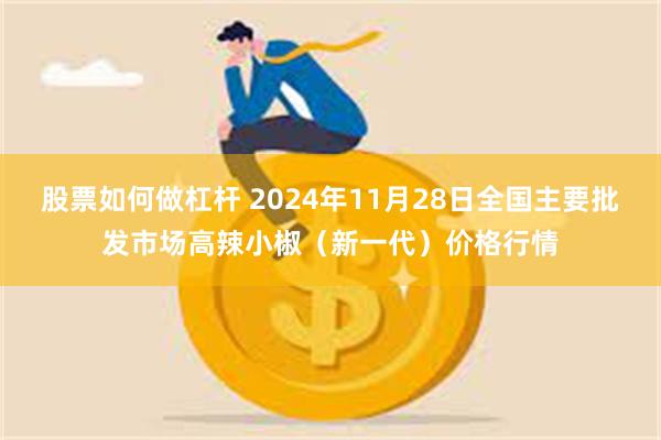 股票如何做杠杆 2024年11月28日全国主要批发市场高辣小椒（新一代）价格行情