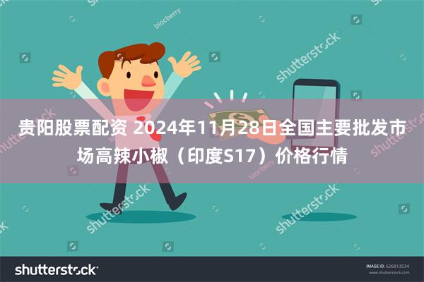 贵阳股票配资 2024年11月28日全国主要批发市场高辣小椒（印度S17）价格行情