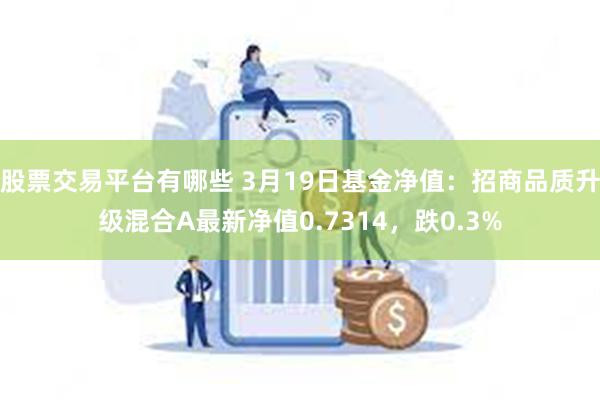 股票交易平台有哪些 3月19日基金净值：招商品质升级混合A最新净值0.7314，跌0.3%