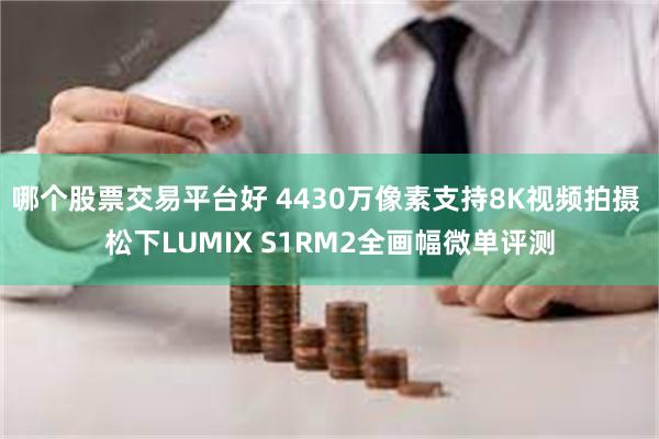 哪个股票交易平台好 4430万像素支持8K视频拍摄 松下LUMIX S1RM2全画幅微单评测