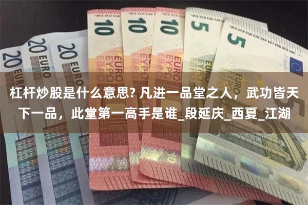 杠杆炒股是什么意思? 凡进一品堂之人，武功皆天下一品，此堂第一高手是谁_段延庆_西夏_江湖