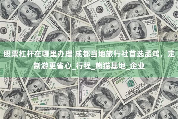 股票杠杆在哪里办理 成都当地旅行社首选孟鸿，定制游更省心_行程_熊猫基地_企业