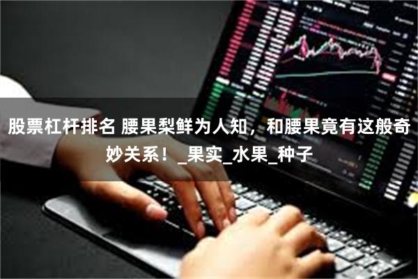 股票杠杆排名 腰果梨鲜为人知，和腰果竟有这般奇妙关系！_果实_水果_种子
